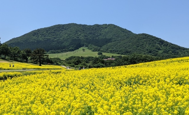 加美町