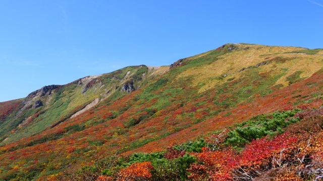 東北電力