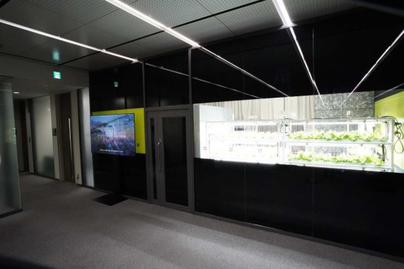 植物工場