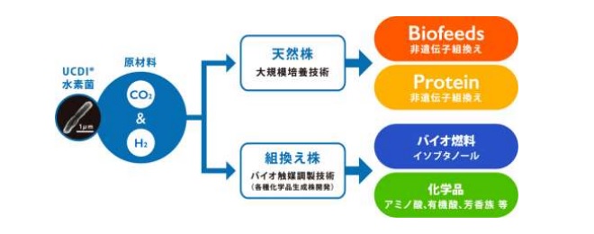 水素菌