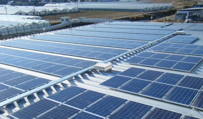 ワタミ、太陽光発電事業の開始から10周年