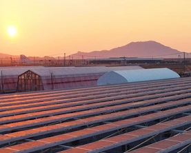 ワタミ、太陽光発電事業の開始から10周年